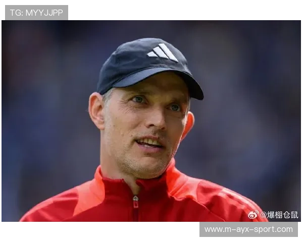 拜仁引进新援图赫尔打造铁血防线，拜仁hernandez